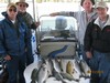 (05/11/2015) - Nice Striped Bass